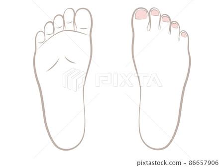 Female right sole and instep 86657906