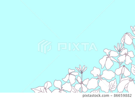Landscape with blooming spring flowers Line drawing and fashionable postcard with light blue background Postcard size Horizontal type 86659882