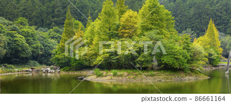台灣，高山湖泊，明池，森林，台湾、高山湖、明池、森林、Taiwan, alpine lakes, 86661164