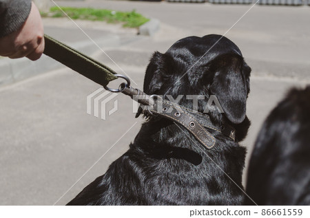 Close-up of a woman's hands holdin 86661559