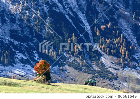 Lonely autumn tree and tractor after haymaking in the highlands of Seiser Alm plateau 86661649