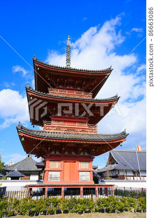 [瀨戶內 33 觀音聖地] 岡山縣倉敷市 No.2 Henjoin Precincts and Late Autumn Sky 7 86663086