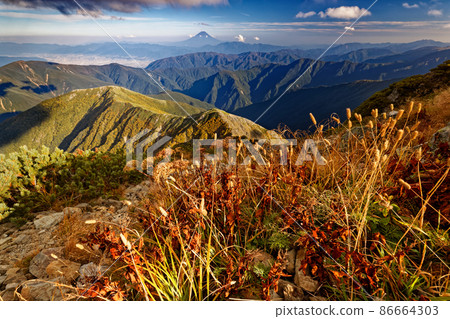 Autumn leaves and Mt. Fuji on the summit of Mt. Kitadake in the Southern Alps in the evening light 86664303