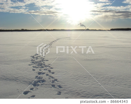 Finland Snow footprints Finland Snow footprints 86664343