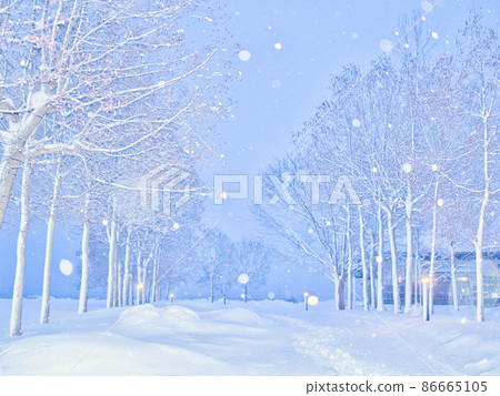 新潟市福島縣雪景 新潟市福島縣雪景 86665105