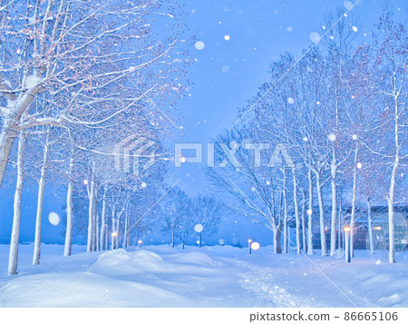 Snow scene of Fukushimagata, Niigata City Snow scene of Fukushimagata, Niigata City 86665106
