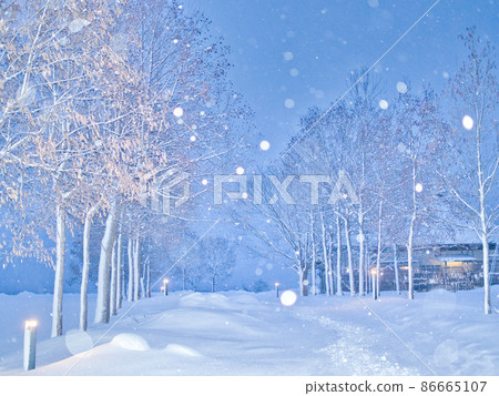 Snow scene of Fukushimagata, Niigata City Snow scene of Fukushimagata, Niigata City 86665107
