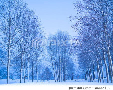 新潟市福島縣雪景 新潟市福島縣雪景 86665109