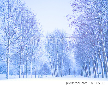 新潟市福島縣雪景 新潟市福島縣雪景 86665110
