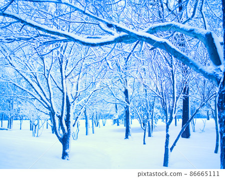 新潟市福島縣雪景 新潟市福島縣雪景 86665111
