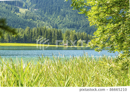 Picture of pretty Weissensee lake in Austria in summer 86665210