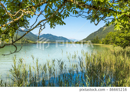 Picture of pretty Weissensee lake in Austria in summer Picture of pretty Weissensee lake in Austria in summer 86665216