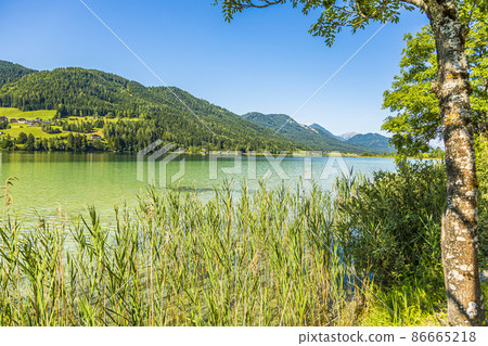 Picture of pretty Weissensee lake in Austria in summer 86665218