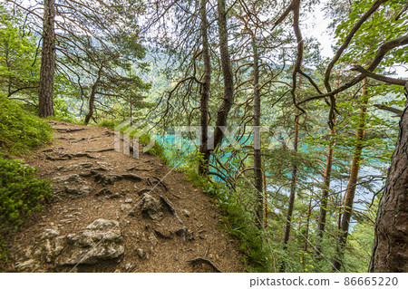 Picture of hiking trail along lake Weissensee in Austria in summer 86665220