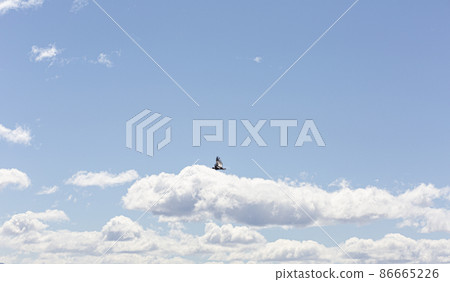 Picture of a flying condor taken in Patagonia in October 2017 86665226