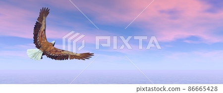 Eagle flying over the ocean - 3D render Eagle flying over the ocean - 3D render 86665428