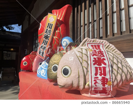 Five sea breams from Kawagoe Hikawa Shrine Five sea breams from Kawagoe Hikawa Shrine 86665940