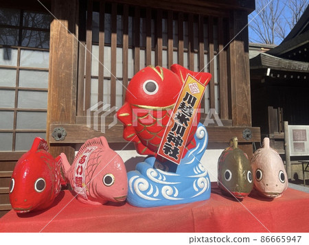 Five sea breams from Kawagoe Hikawa Shrine 86665947