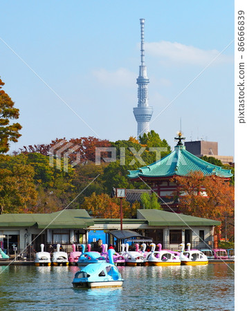 Tokyo Ueno Park Shinobazu Pond Swan Boat Tokyo Ueno Park Shinobazu Pond Swan Boat 86666839