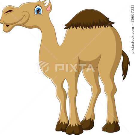 cute camel cartoon posing smiling isolated on white background 86667332