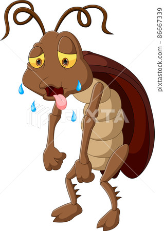 tired cockroach cartoon on white background 86667339