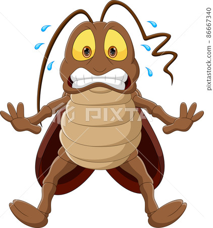 scared cockroach cartoon on white background scared cockroach cartoon on white background 86667340