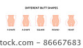 Five different butt shapes vector illustration. Human body. Female figure. Style, fashion and beauty concept 86667683