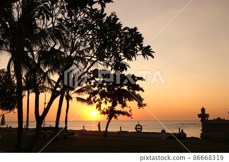 Bali sunset and palm trees 86668319