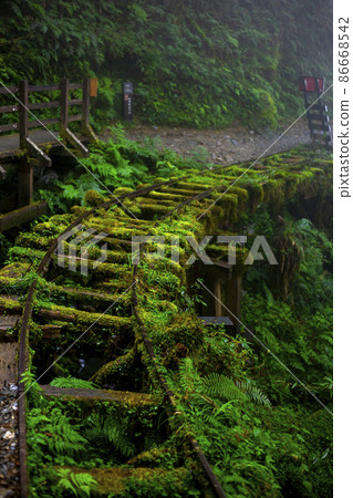 台灣,太平山,見晴古道,鐵道,台湾、太平山、建清古道、鉄道、Taiwan, railway, 台灣,太平山,見晴古道,鐵道,台湾、太平山、建清古道、鉄道、Taiwan, railway, 86668542