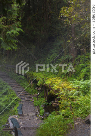 台灣,太平山,見晴古道,鐵道,台湾、太平山、建清古道、鉄道、Taiwan, railway, 台灣,太平山,見晴古道,鐵道,台湾、太平山、建清古道、鉄道、Taiwan, railway, 86668556