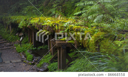 台灣，太平山，見晴古道，鐵道，台湾、太平山、建清古道、鉄道、Taiwan, railway, 86668558