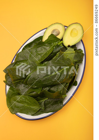 fresh green spinach on dish on yellow fresh green spinach on dish on yellow 86669249