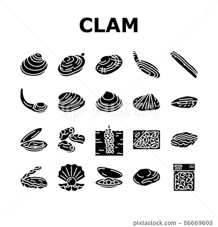 Clam Marine Sea Farm Nutrition Icons Set Vector 86669608