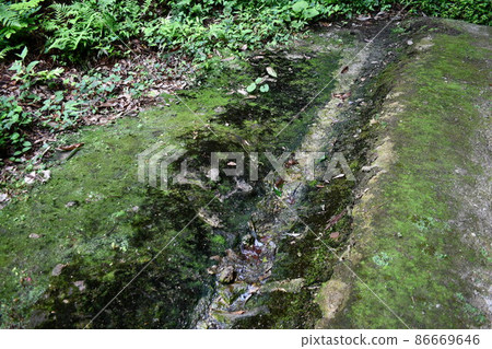 A small waterway where moss grows narrowly and water does not flow 86669646