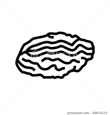 oyster closed shell line icon vector illustration 86670123
