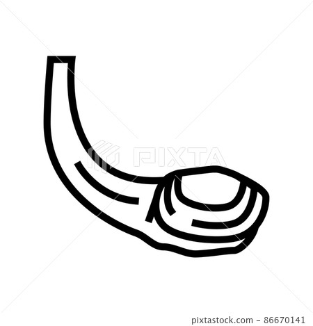 geoduck pacific clam line icon vector illustration geoduck pacific clam line icon vector illustration 86670141