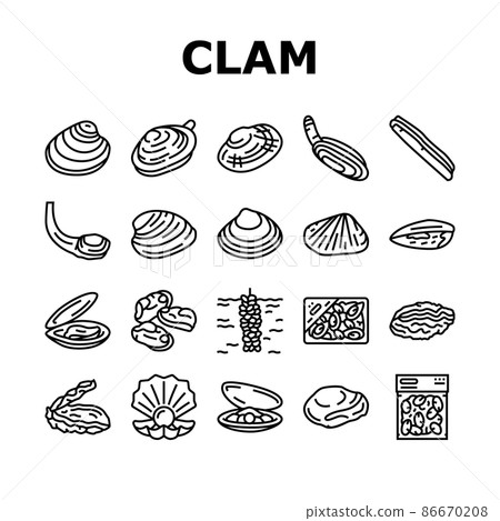 Clam Marine Sea Farm Nutrition Icons Set Vector Clam Marine Sea Farm Nutrition Icons Set Vector 86670208