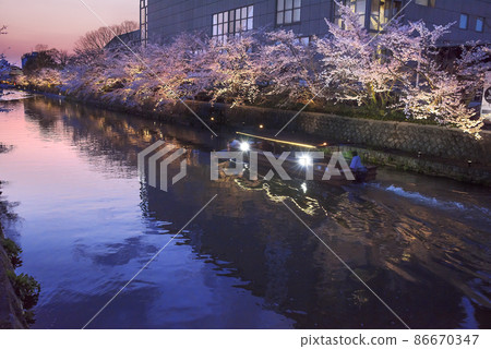 京都岡崎運河櫻花燈飾和地國船之旅 86670347