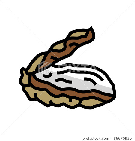 oyster opened shell color icon vector illustration oyster opened shell color icon vector illustration 86670930