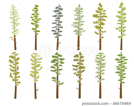 Set of flat design vector images of simple tall cedar trees with bare trunk (pine) in flat design. 86670969