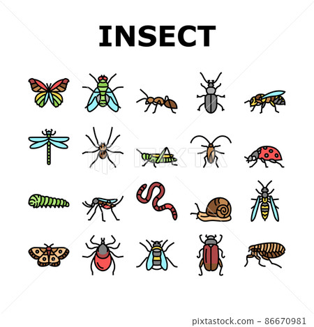 Insect, Spider And Bug Wildlife Icons Set Vector 86670981