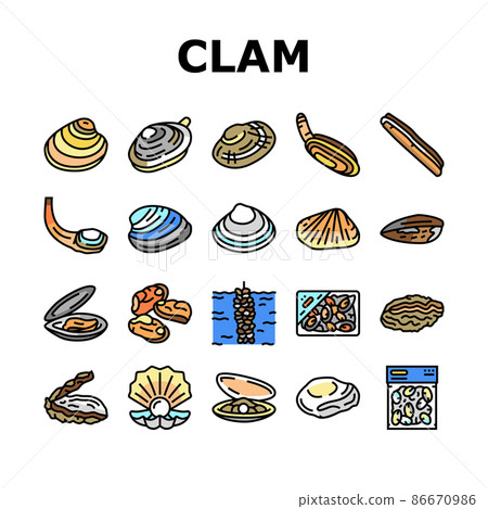 Clam Marine Sea Farm Nutrition Icons Set Vector Clam Marine Sea Farm Nutrition Icons Set Vector 86670986