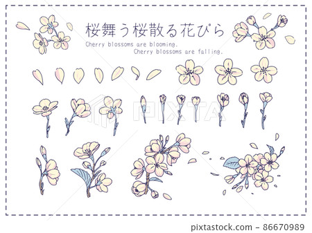 Sakura material illustration set 86670989