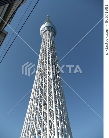天空樹 天空樹 86671981