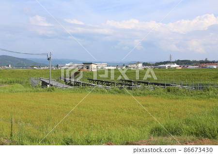 Iga Ueno Iga Railway JR Iga Ueno Sunflower 86673430