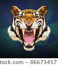 Tiger_Poly 86673457