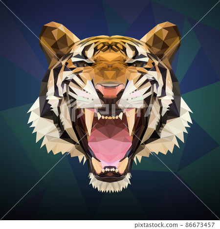Tiger_Poly Tiger_Poly 86673457