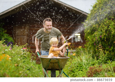 Happy little boy having fun in a wheelbarrow pushing by dad in domestic garden on warm sunny day. Child watering plants from a hose. Active outdoors games for kids in summer. 86673659