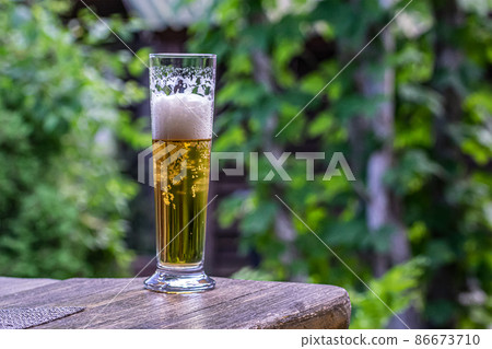 glass with beer on the table against the backdrop of greenery. glass with beer on the table against the backdrop of greenery. 86673710