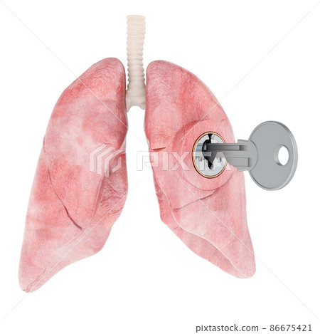 Human lungs with key. Research and diagnosis concept. 3D rendering 86675421